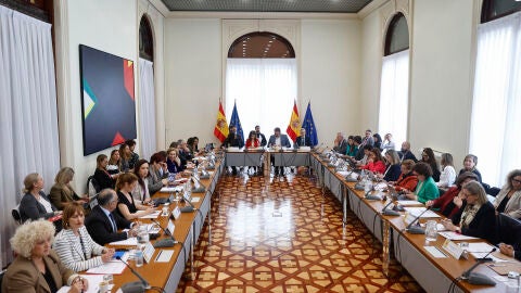 Conferencia sectorial de infancia y adolescencia celebrada el 5 de mayo de 2026 en Madrid